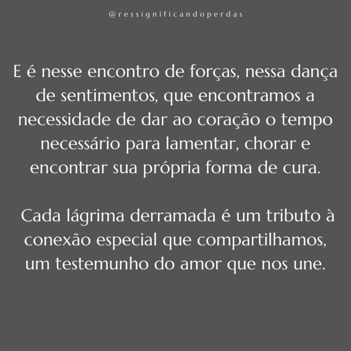 Livro-Vivendo-a-Metamorfose-4