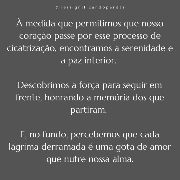 Livro-Vivendo-a-Metamorfose-5